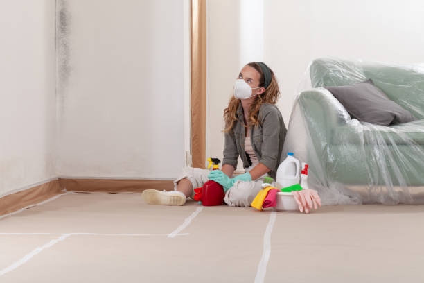 Reliable Mold Remediation contractor in Union City, NJ by Cheap Mold Removal
